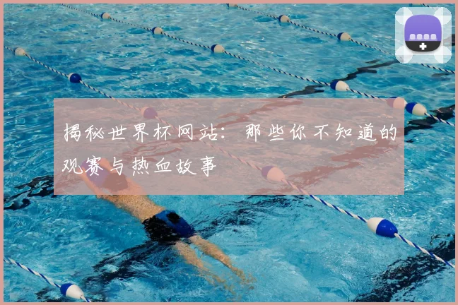 揭秘世界杯网站：那些你不知道的观赛与热血故事