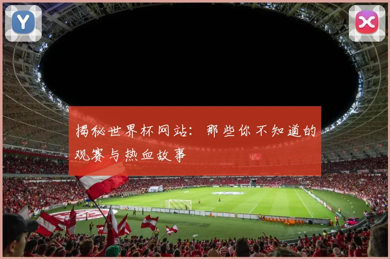 揭秘世界杯网站：那些你不知道的观赛与热血故事