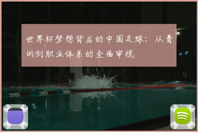 世界杯梦想背后的中国足球:从青训到职业体系的全面审视
