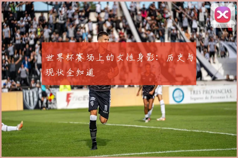 世界杯赛场上的女性身影：历史与现状全知道