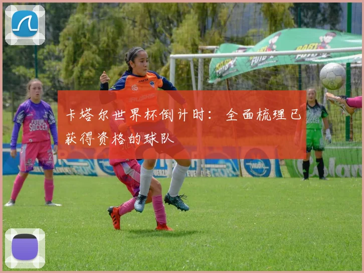 卡塔尔世界杯倒计时：全面梳理已获得资格的球队
